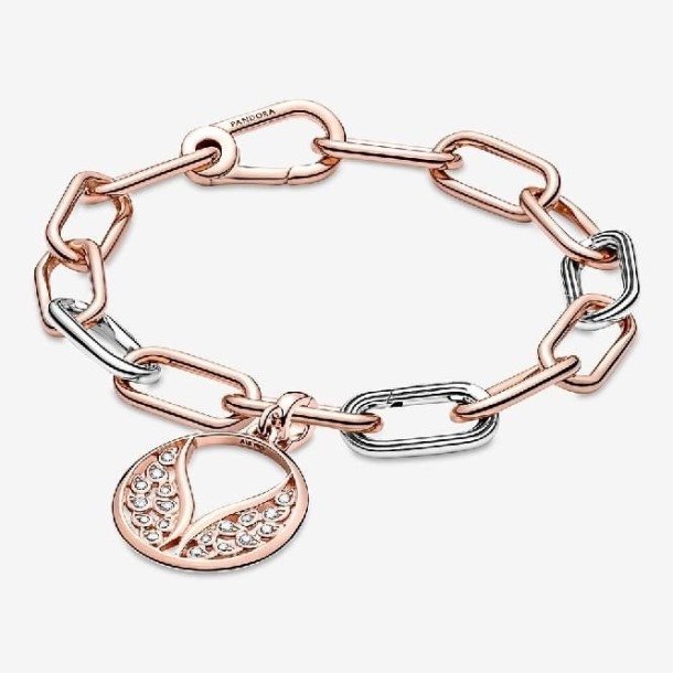 Me Rose Gouden Brandende Vleugels Medaillon Bedel Pandora Nederland