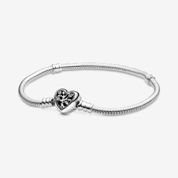 Momenten Stamboom Hart Sluiting Slang Ketting Armband Pandora Nederland