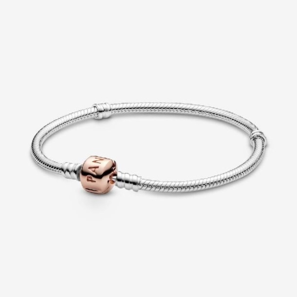 Momenten Pandora Nederland Merk Snake Chain Armband Met Rozensluiting