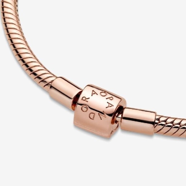Momenten Pandora Nederland Roos Vat Sluiting Slangenketting Armband