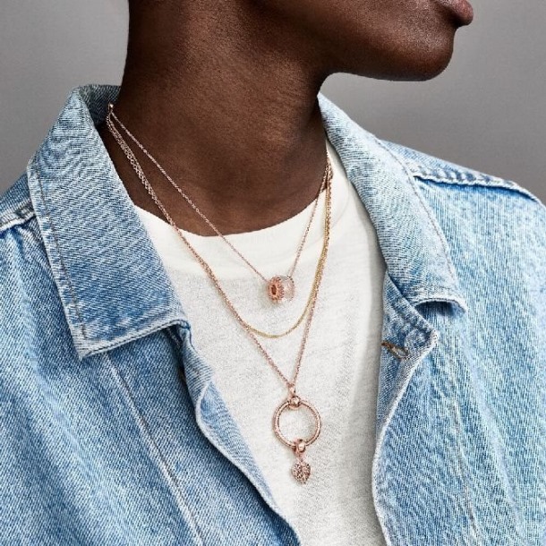 Momenten Roos Klein O Hanger Pandora Nederland