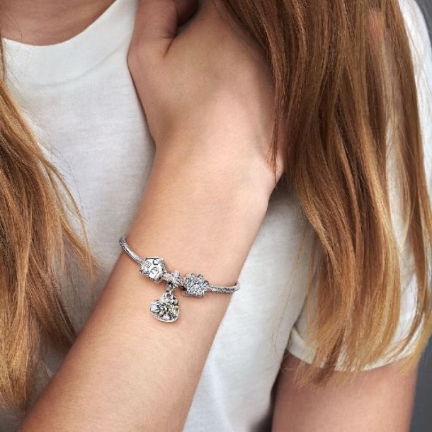 Tweekleurige Stamboom Hart Bengelen Bedels Pandora Nederland